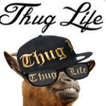 thug lifev2.1