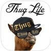 Thug Life Maker��׿�ֻ���