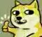 ��ͨdoge��̬�����