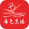 VB�̳�app