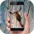 Ы����Ļ����v5.4.6 �ٷ���׿��