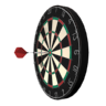 Pro Darts 2014(רҵ����2018���°�)