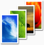 OGQ��ֽBackgrounds