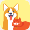 �����app