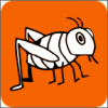 ��������app