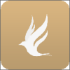 ˶�����app