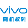 VIVOˢ����ש����