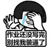 ��Ҫ��ѧ�˱����