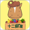 ʮ���ʹ�app