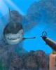 Underwater Survival Sim - 2(ˮ������ģ��2)