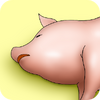 �Ҹ�����