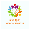 �����ʻ�app