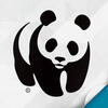 wwf��һ��app