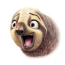 ����ڴ�app