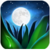 ���ɵ�����app