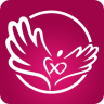 ��������app