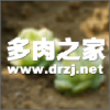 ����֮��app