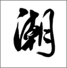 ���³���app