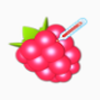 ��ݮ�ɼ��appͼ��