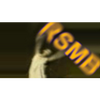 REVisionFX ReelSmart MotionBlur Pro Mac/Win��