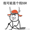 ����ʦ�ҿ����Ǹ���SSR�����