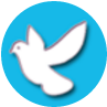 �Ÿ�ɼ���ѯappƻ����