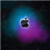macOS 10.12.3 Beta4Ԥٷ°