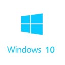 곿 Windows 10 רҵ