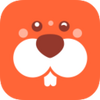 �����Ż�app