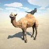 Dune Simulator(ɳ��ģ����)