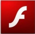 flash player����������