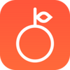 ��������app
