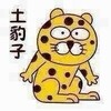 �����Ŵ����ޱ����