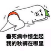�������������ȫ