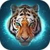 TheTiger(The Tiger)