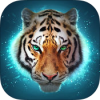 The Tiger���°�