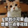 ˫ʮһ���˱������ȫ