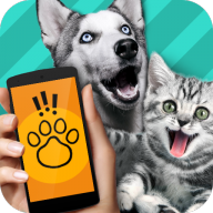 Pet Translator app