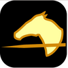 Cavalry Charge(�����ͻ�ٷ���)