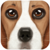 UltDogSim(�ռ�����ģ����)