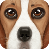 UltDogSim(�ռ�����ģ����)
