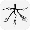 Branch(ľ)