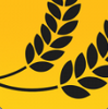 һ������app