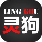 灵狗导航app最新版v1.0