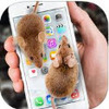 mouse on screen scary joke���İ�