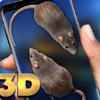 mouse on screen scary joke�ٷ���