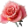 �ڼ�QQõ��С��������