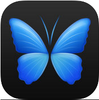 Everpix ios��