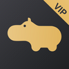 ����VIP