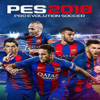 ʵ������2018����Ľ��ڿ�����ֽ��������
